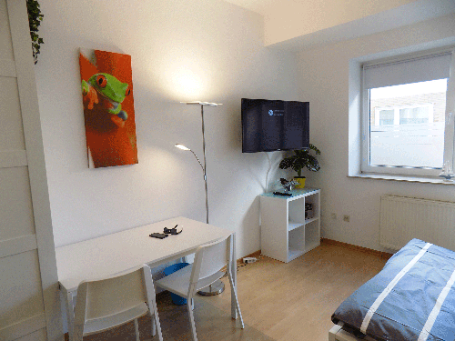 Smart TV Apartment